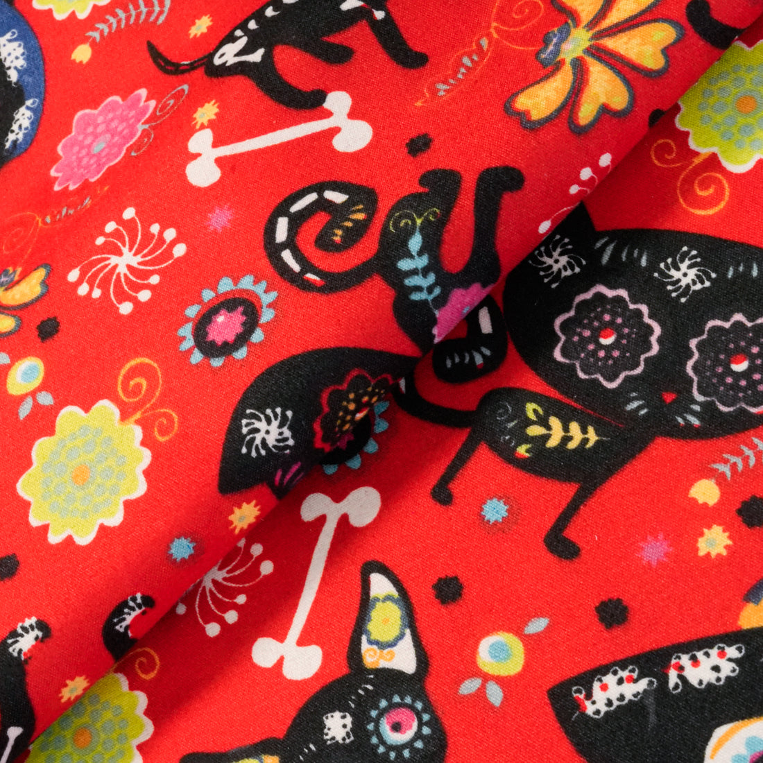 Silki Halloween y Muertos