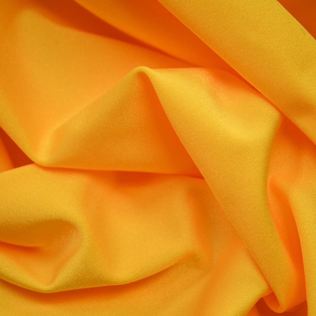 Lykra Lisa Brillante