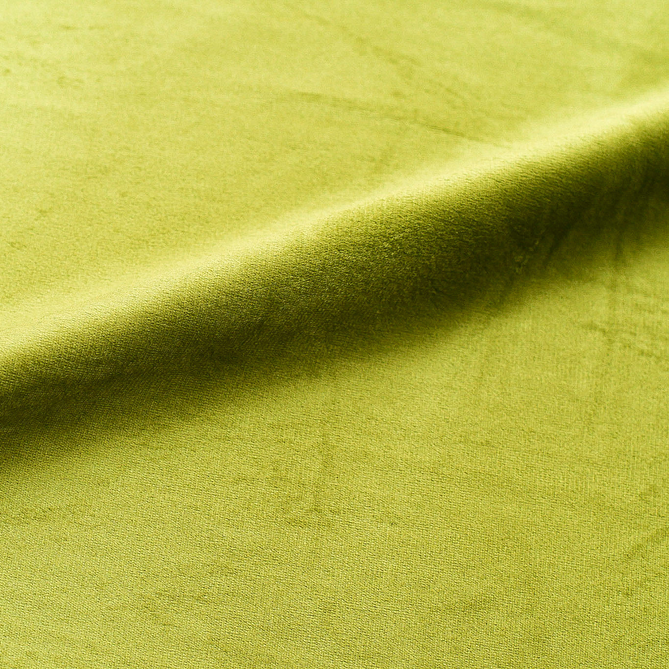 Terciopelo Baby Face