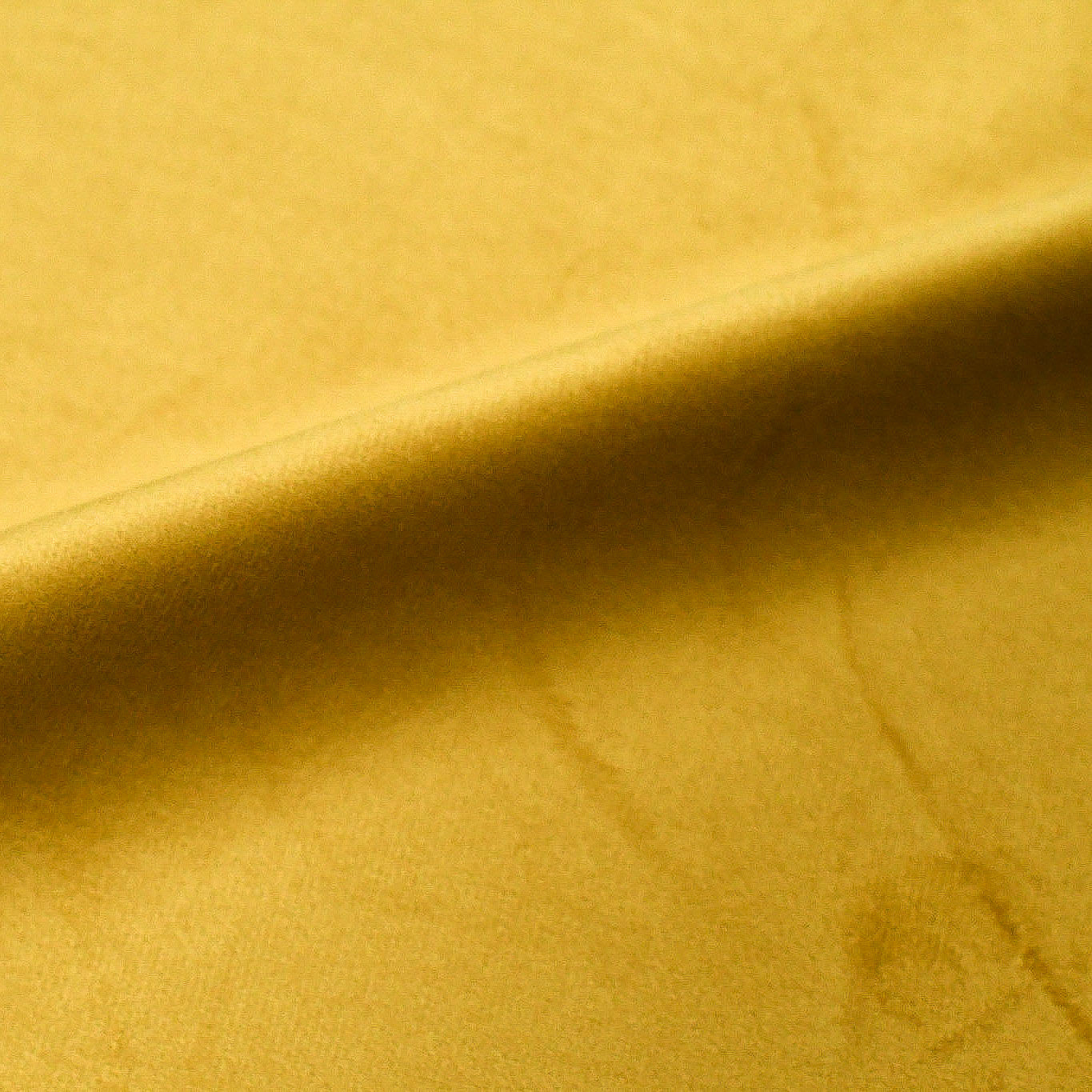 Terciopelo Baby Face