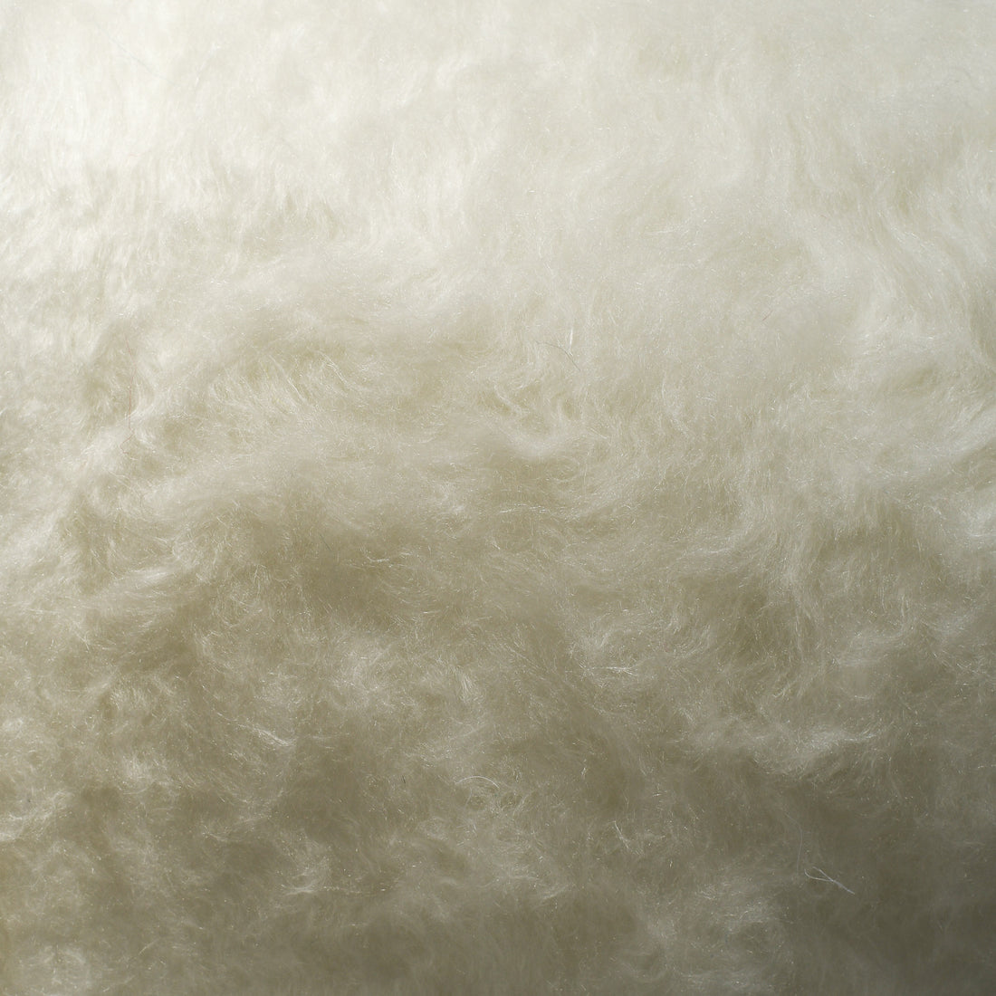 Peluche 100 Extra Largo