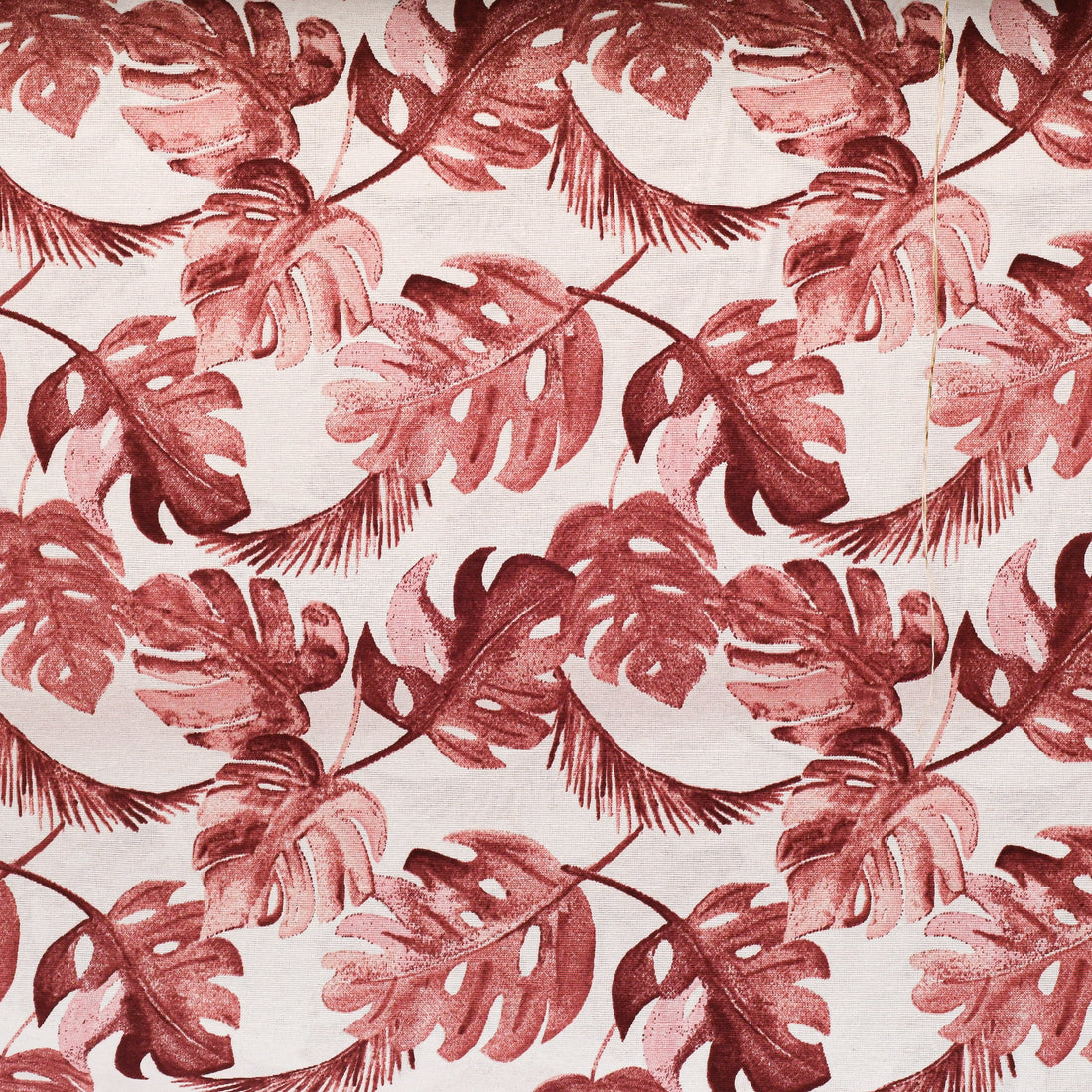 Loneta Dibujo Guayaba