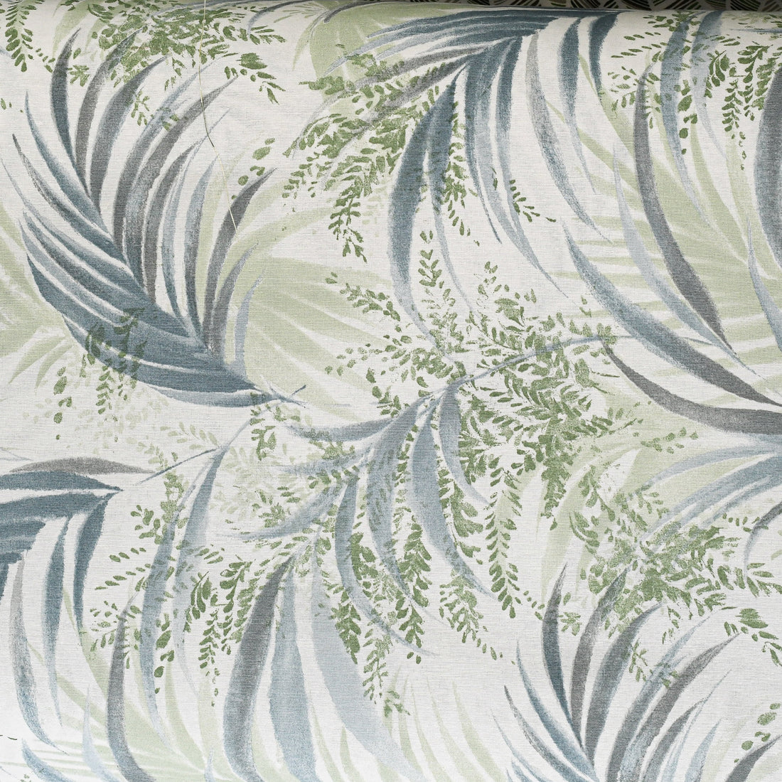 Loneta Dibujo Macapa