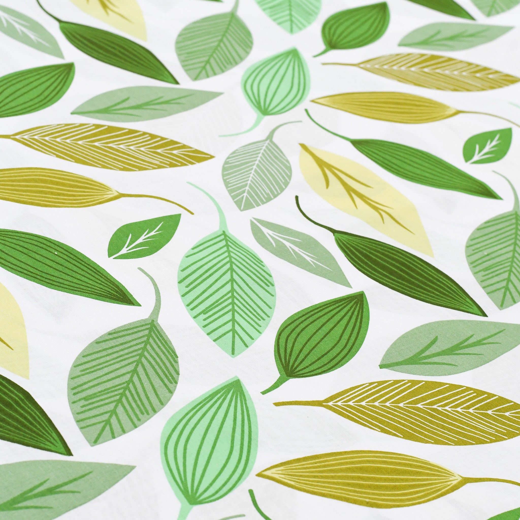 Bramante Monaco Hojas