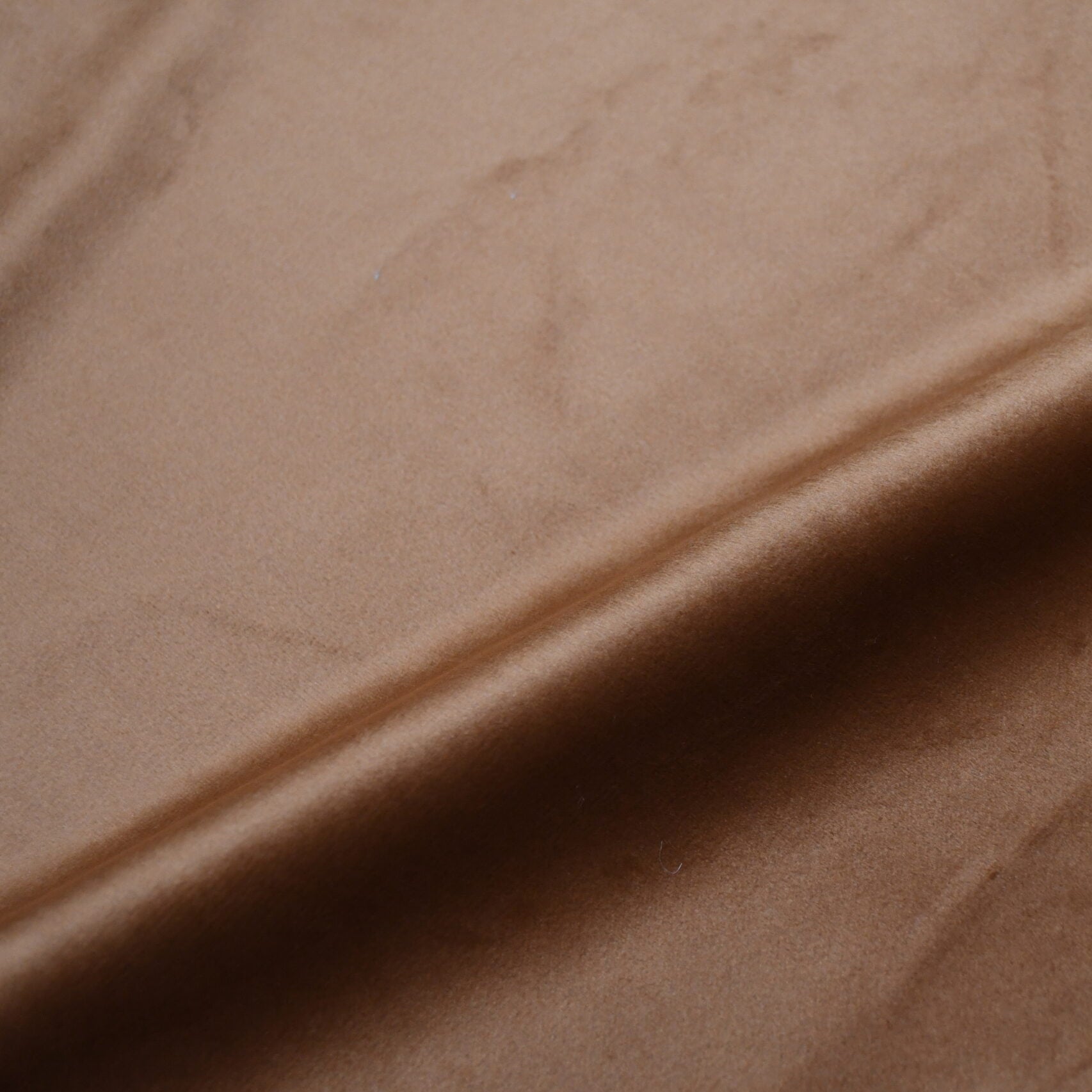 Terciopelo Baby Face