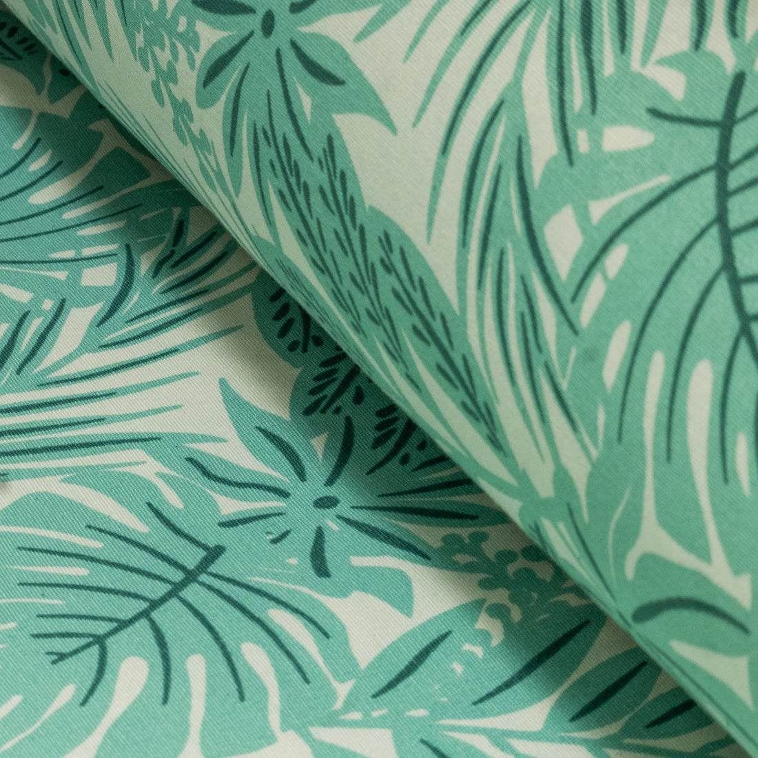 Loneta Dibujo Monstera