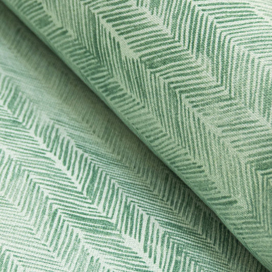 Panama Digital Akela Coord