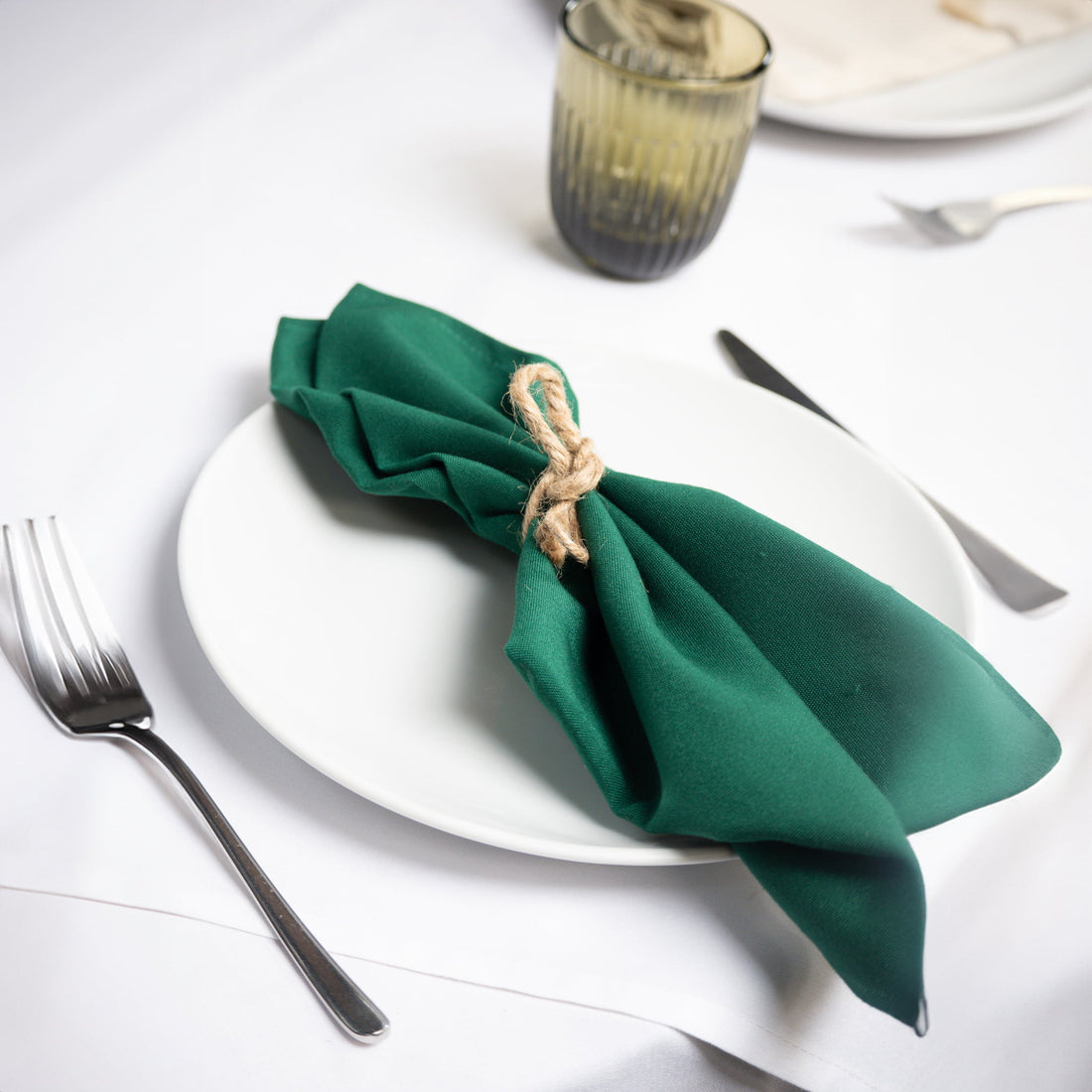 Servilleta Básica Tergal