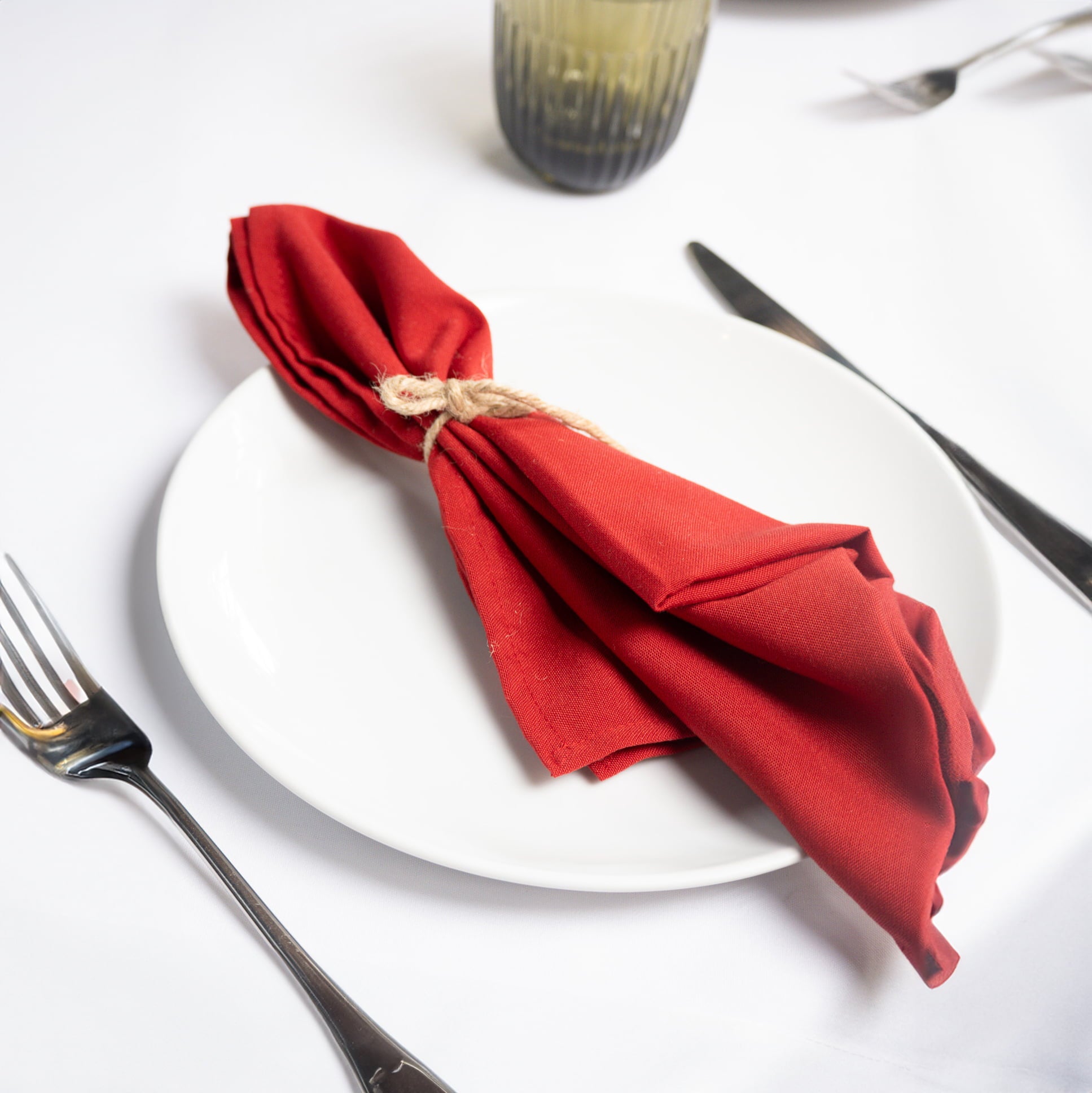 Servilleta Básica Tergal