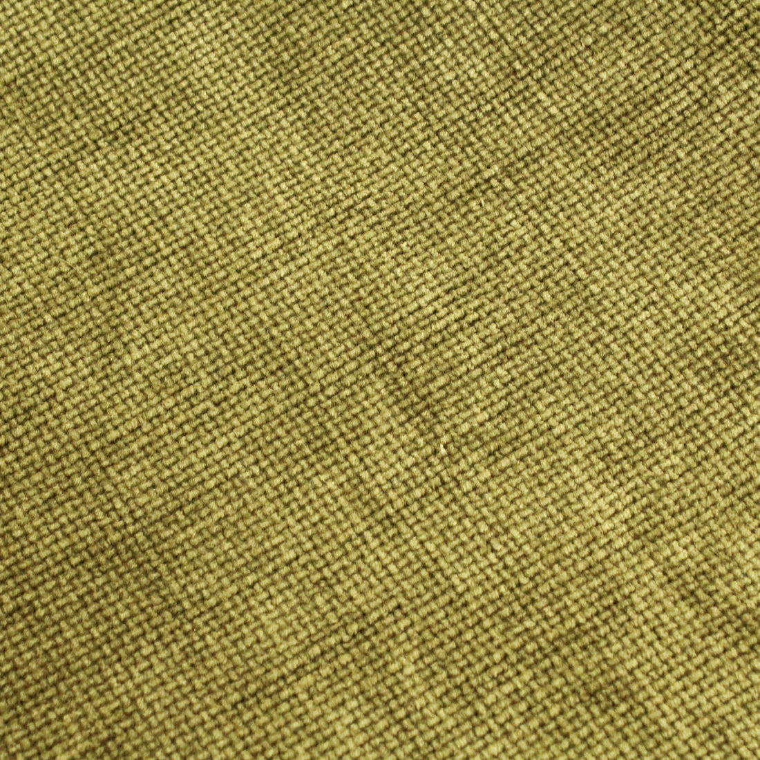 Salamandra Verde