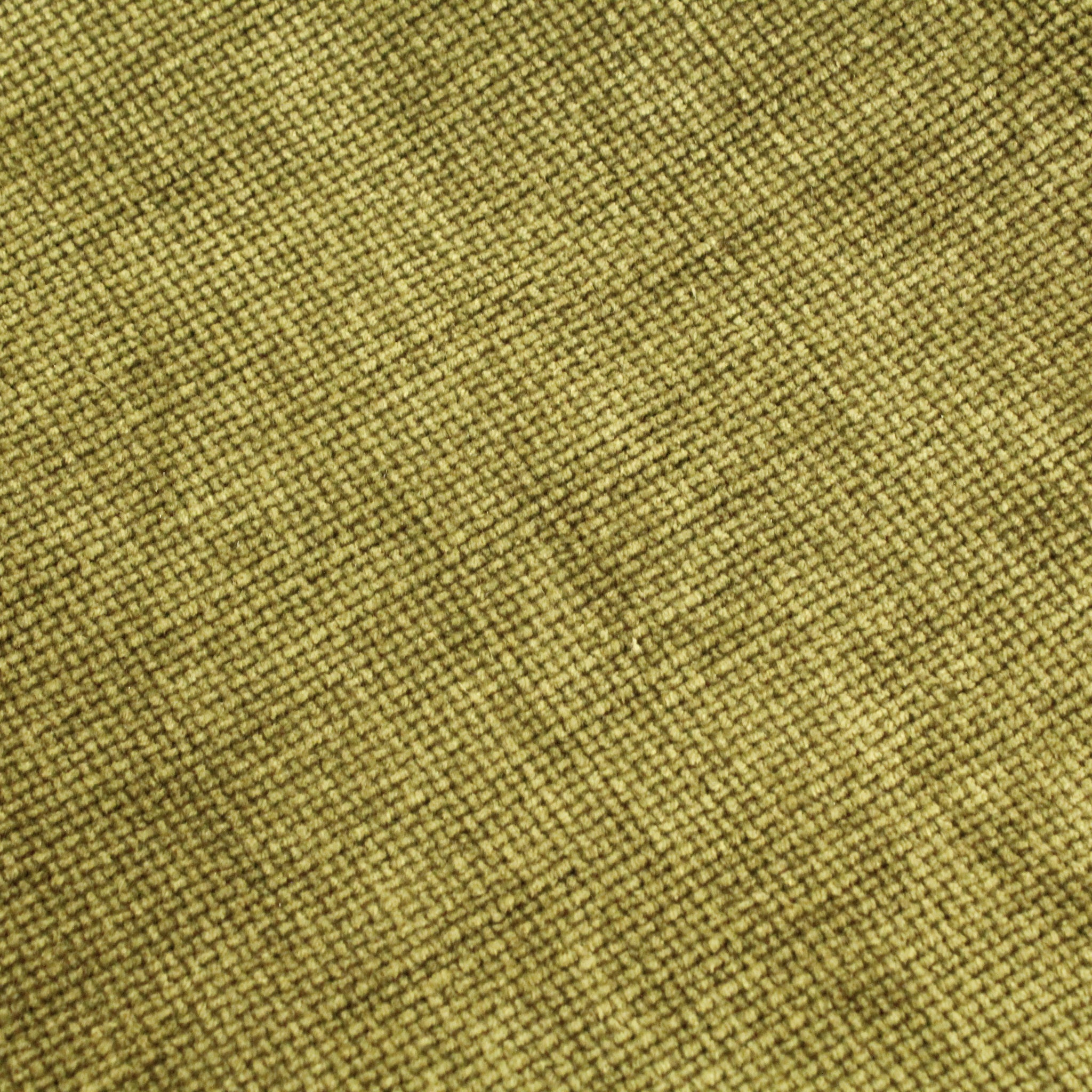 Salamandra Verde