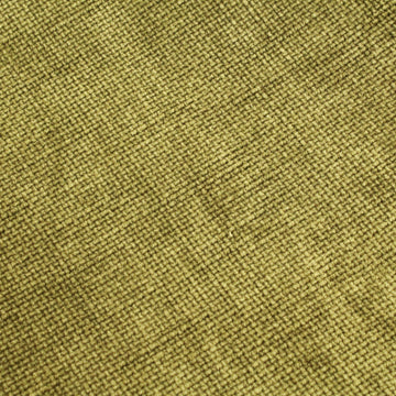 Salamandra Verde