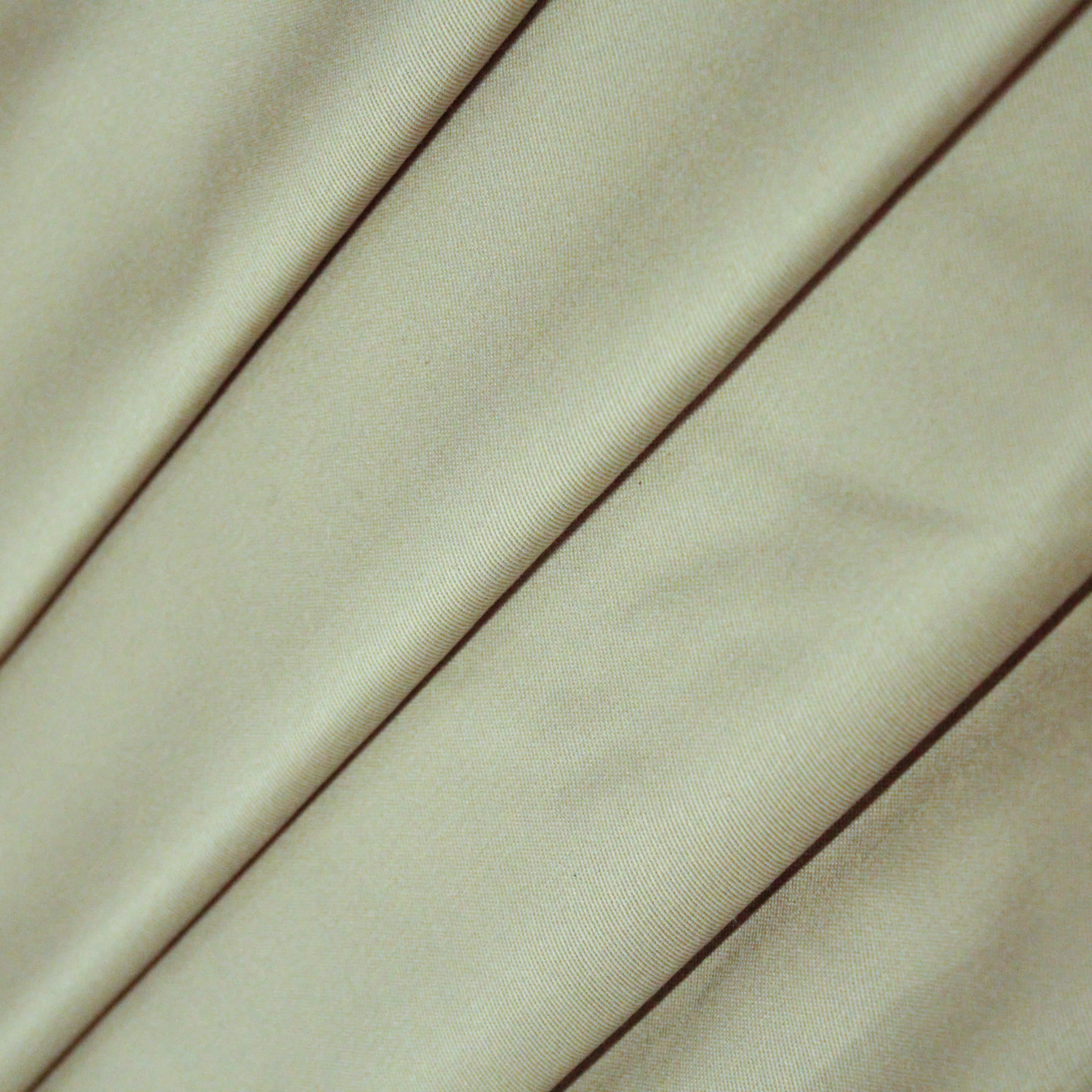 Gabardina Conquerer